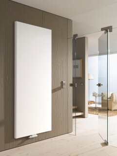 Kermix2 Verteo Plan Typ21BH1600x66x500mm